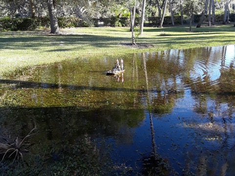 White City Park-匹尔斯堡必去景点