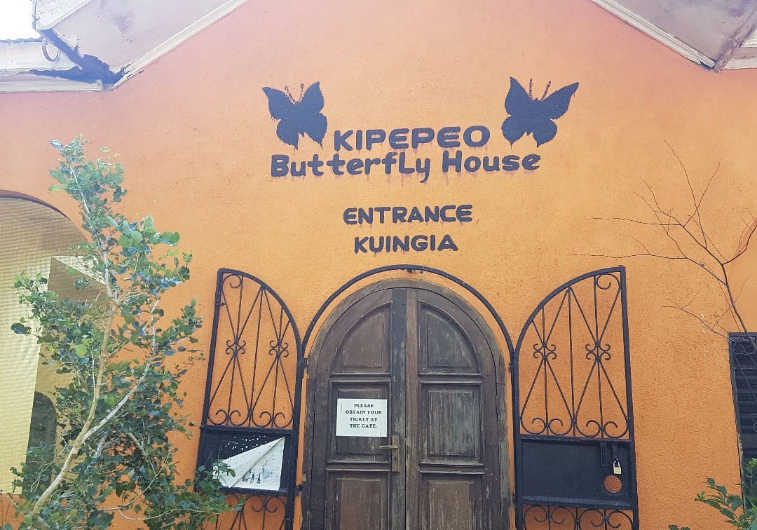 Kipepeo Butterfly House-Gede必去景点