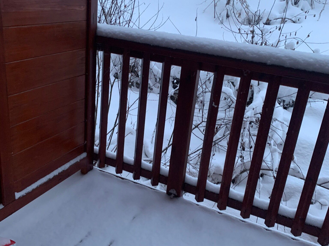 Chalet-Hotel La Foret主图