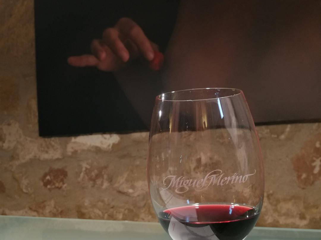 Miguel Merino Winery景点图片