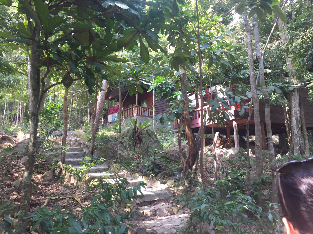 Sweet Jungle Bungalows主图