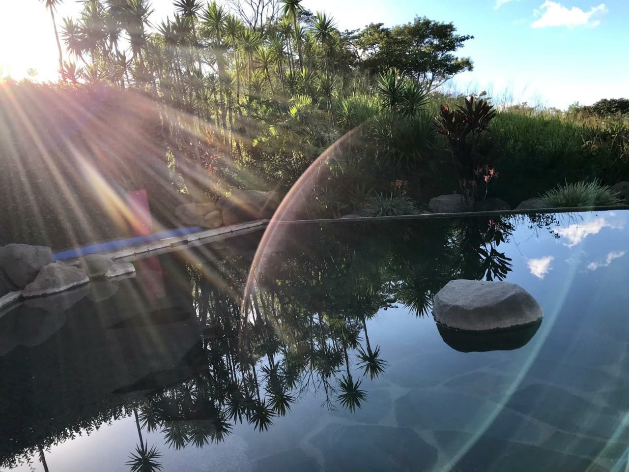 El Sol Monteverde-官方