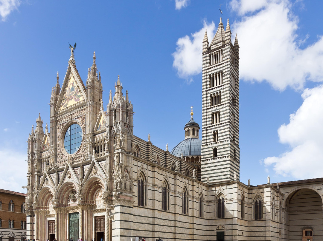 Tour Travel & More-罗马必去景点