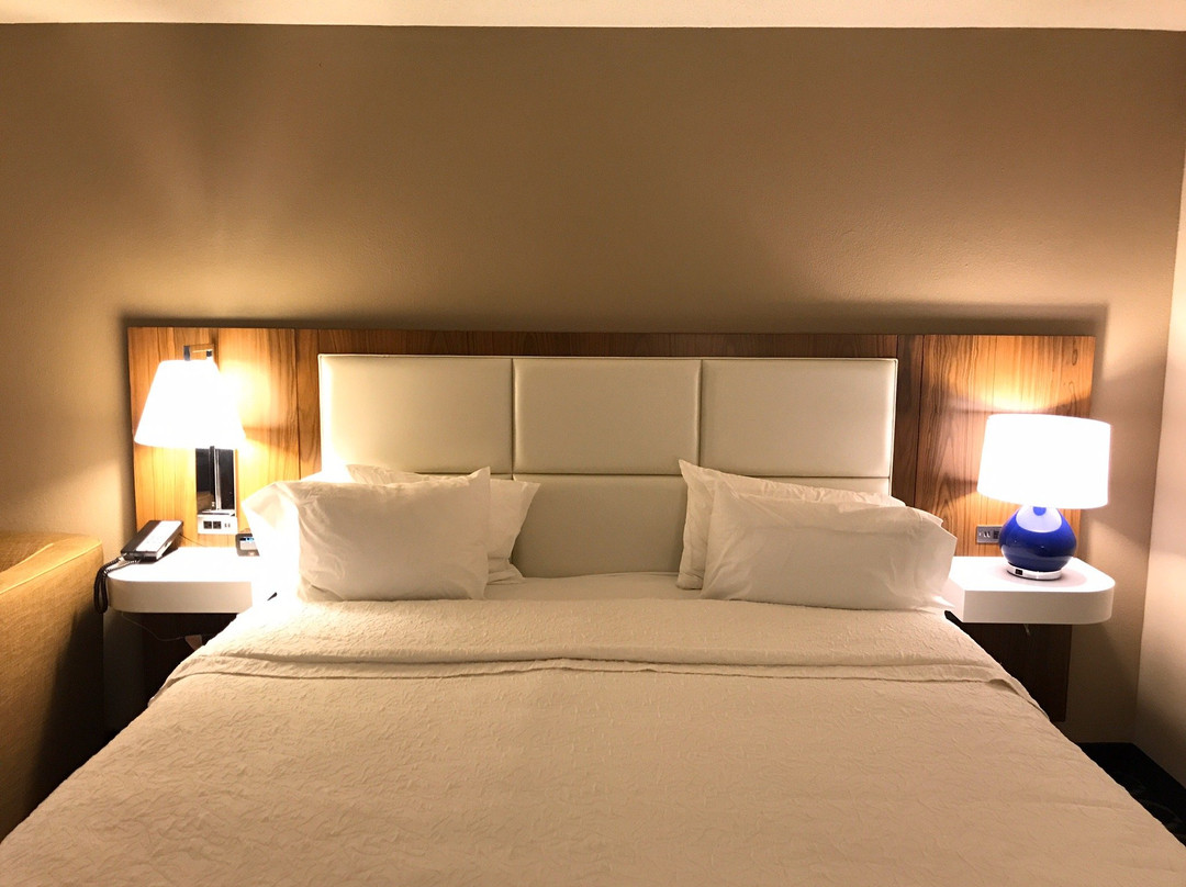 Hampton Inn Auburn主图