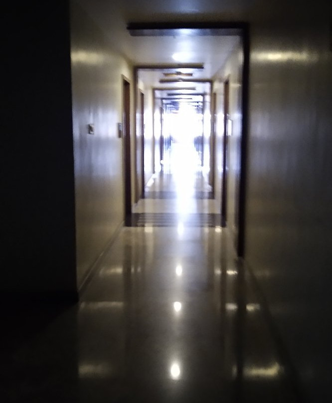Hotel Radha Prasad主图