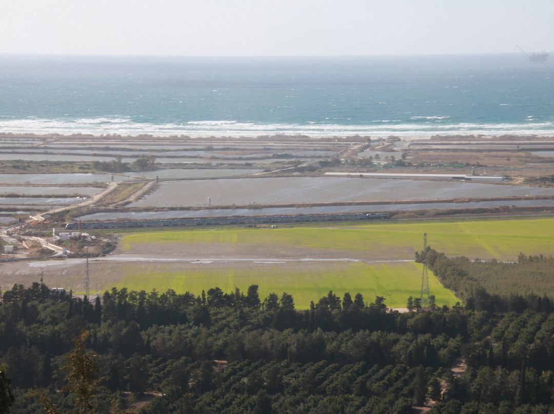 Elma Hotel Arts Complex主图