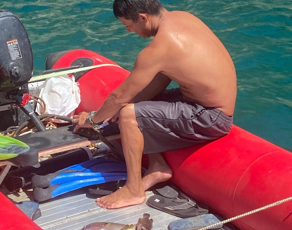 Noa Noa Surfari Sailing景点图片