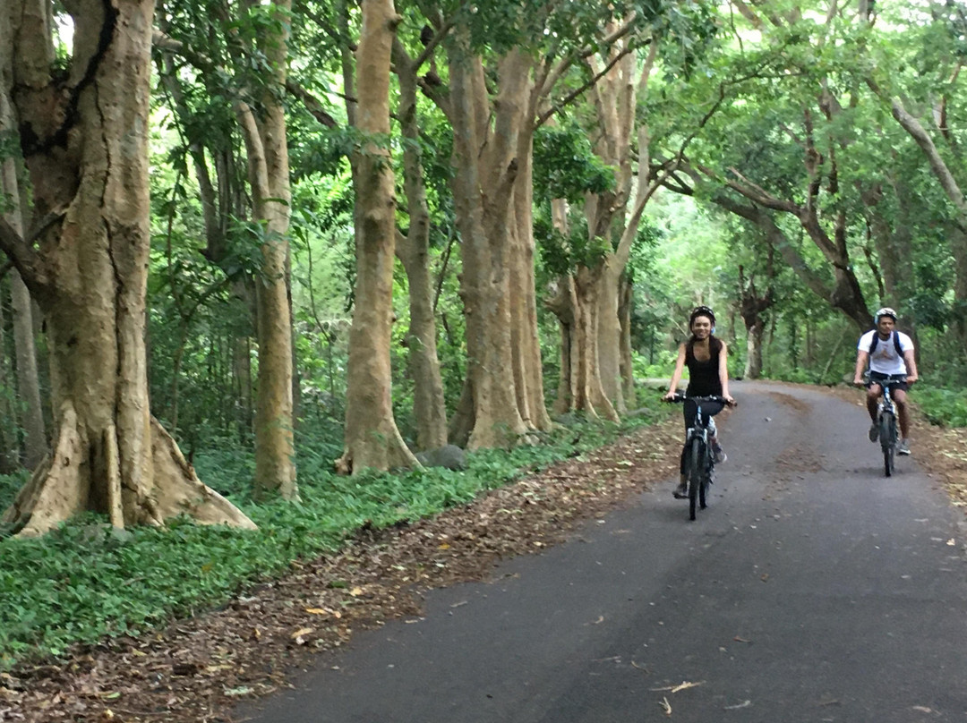 E-Bike Adventures Mauritius景点图片