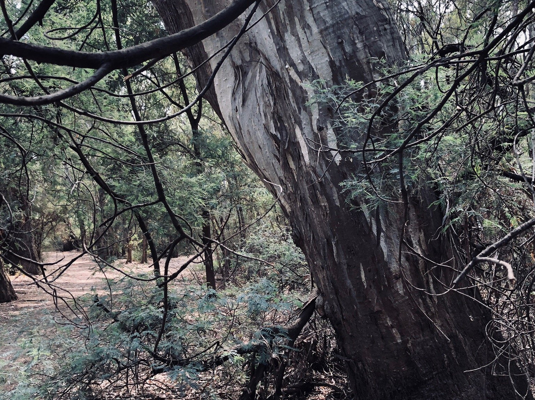 Northern Beaches-Wangaratta必去景点