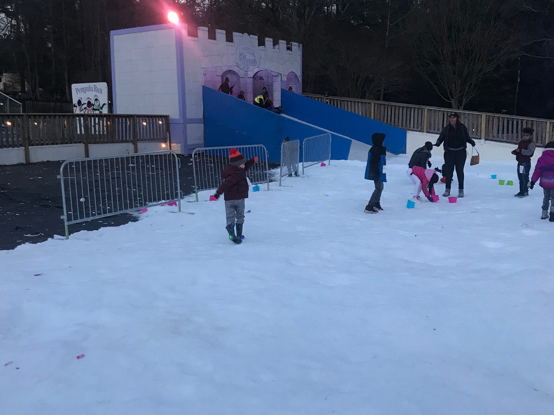 Snow Mountain at Stone Mountain Park-石山必去景点