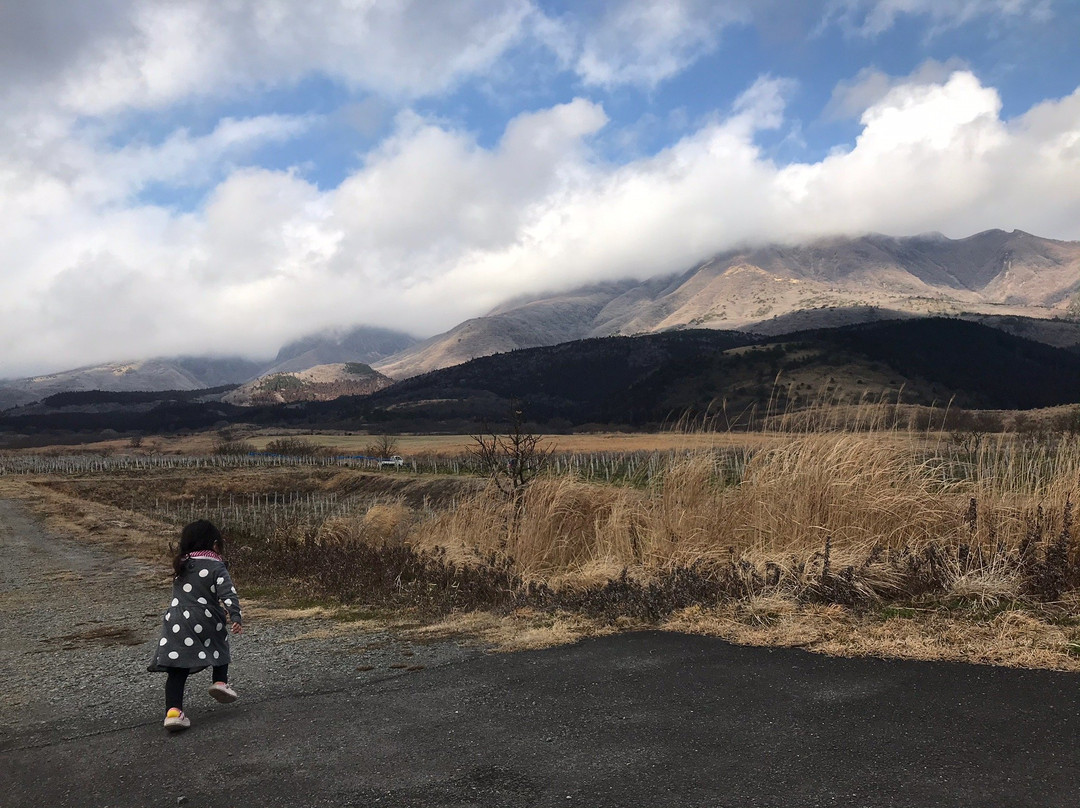 九見山景点图片