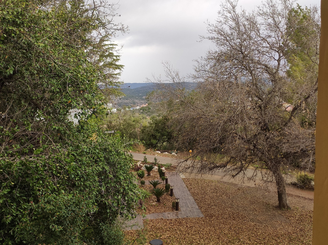 Hacienda Forest View主图