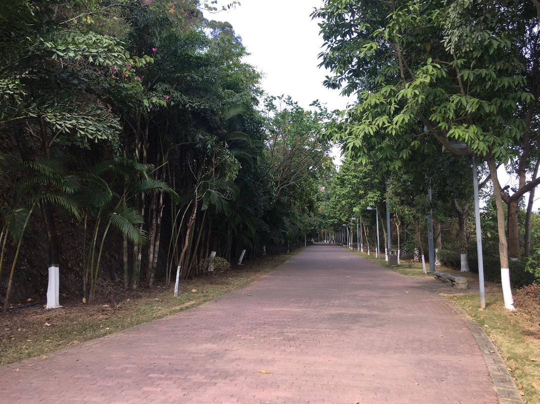 雁塔公园-增城市必去景点