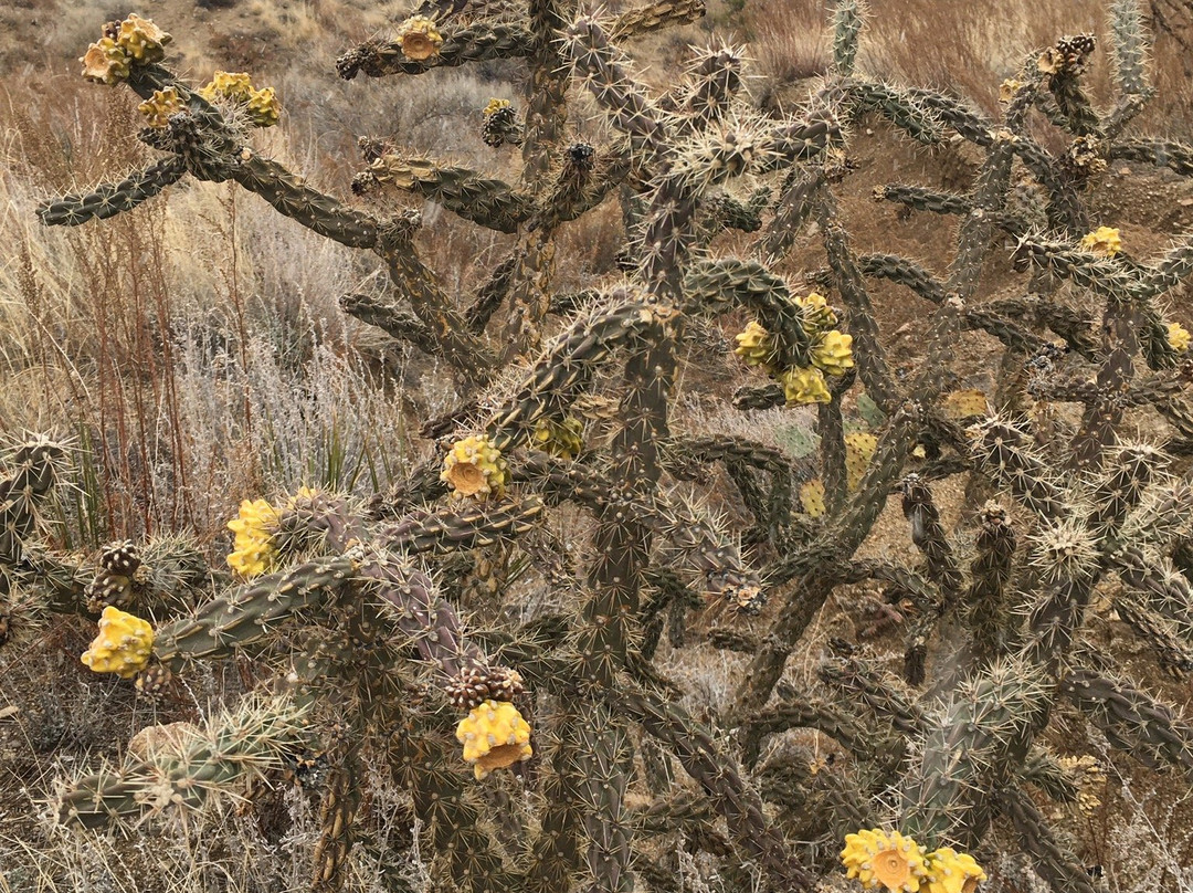 Piedra Lisa Trail-Tijeras必去景点