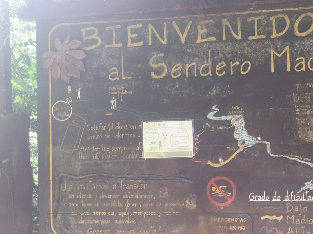 Sendero Macuco-伊瓜苏港必去景点