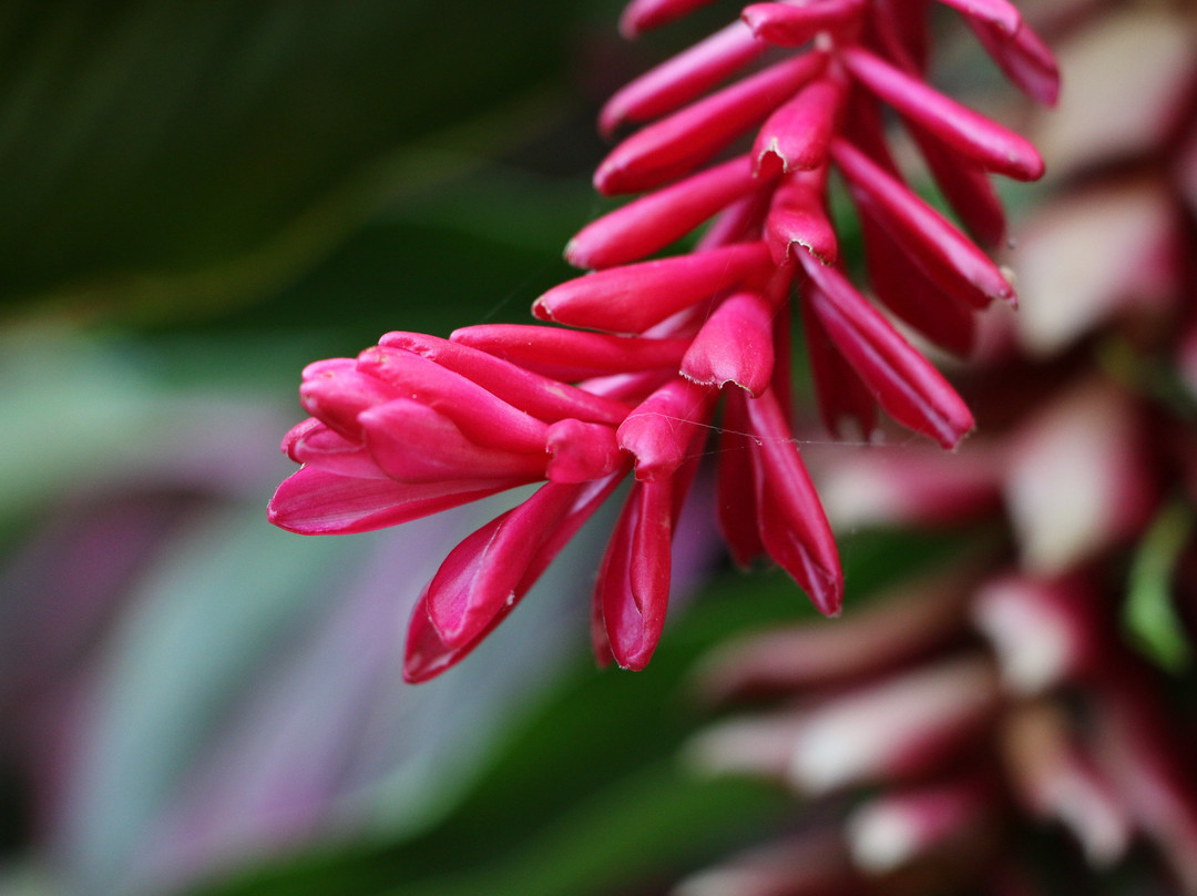 Hotel Belvedere主图