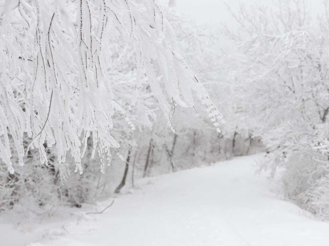 Sobaeksan National Park Samga-荣州市必去景点