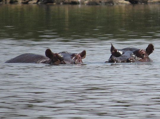 Simien Tour and Travel-贡德尔必去景点