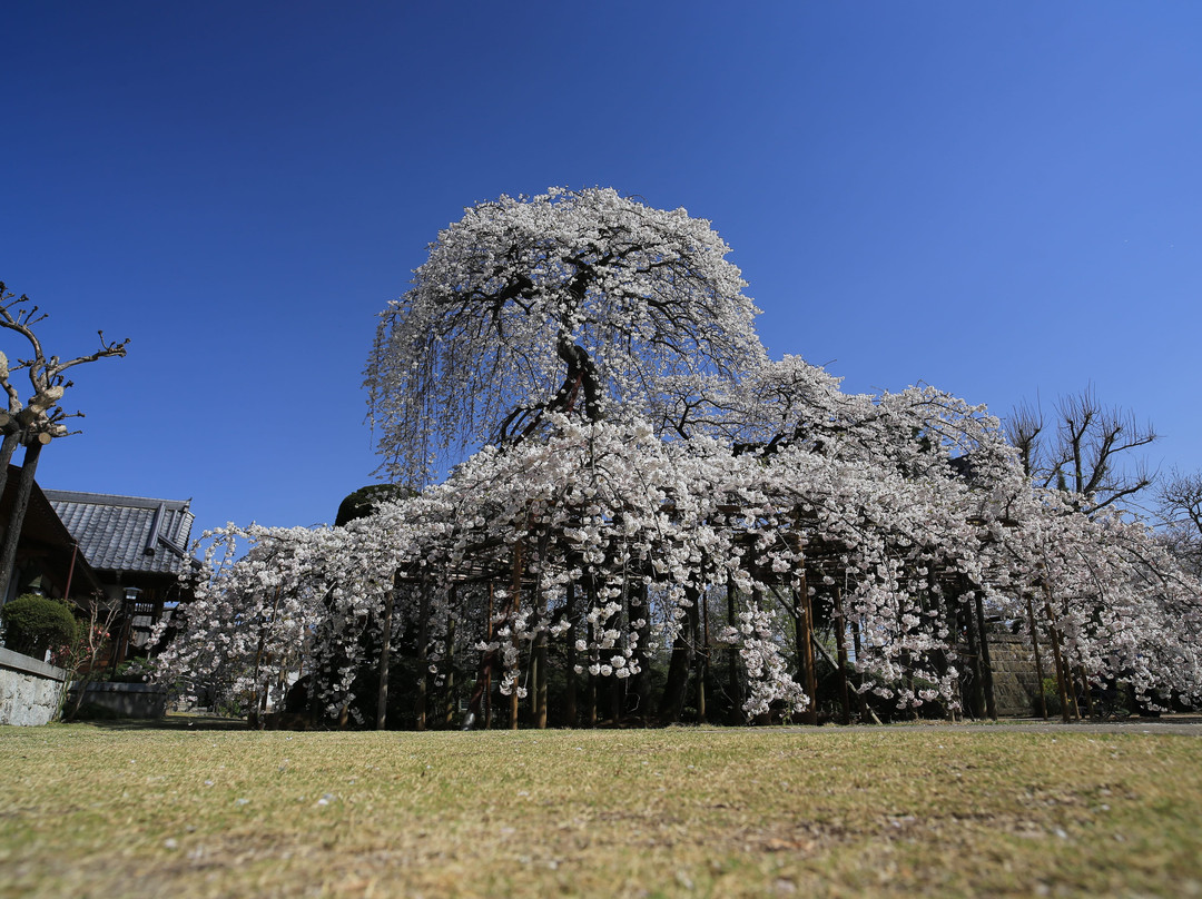 Muryojuin Shrine景点图片