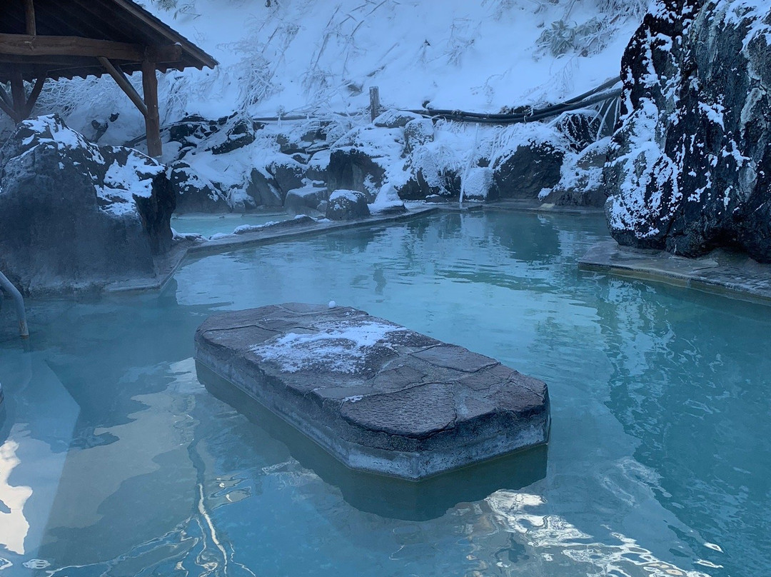 Manza Kogen Hotel主图