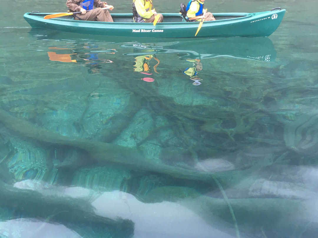 俱多乐湖-白老町必去景点