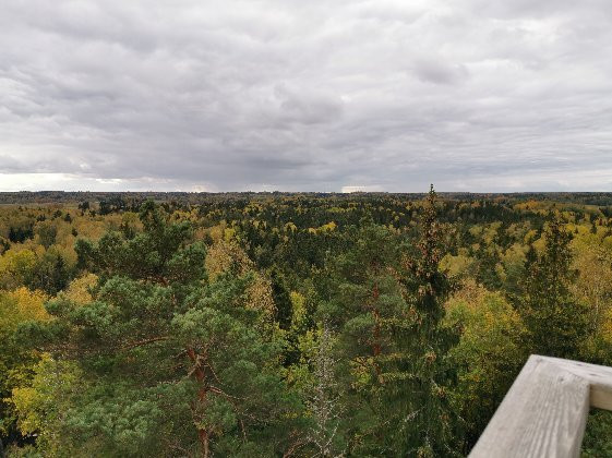 Ligatnes Nature Trails-Ligatne必去景点