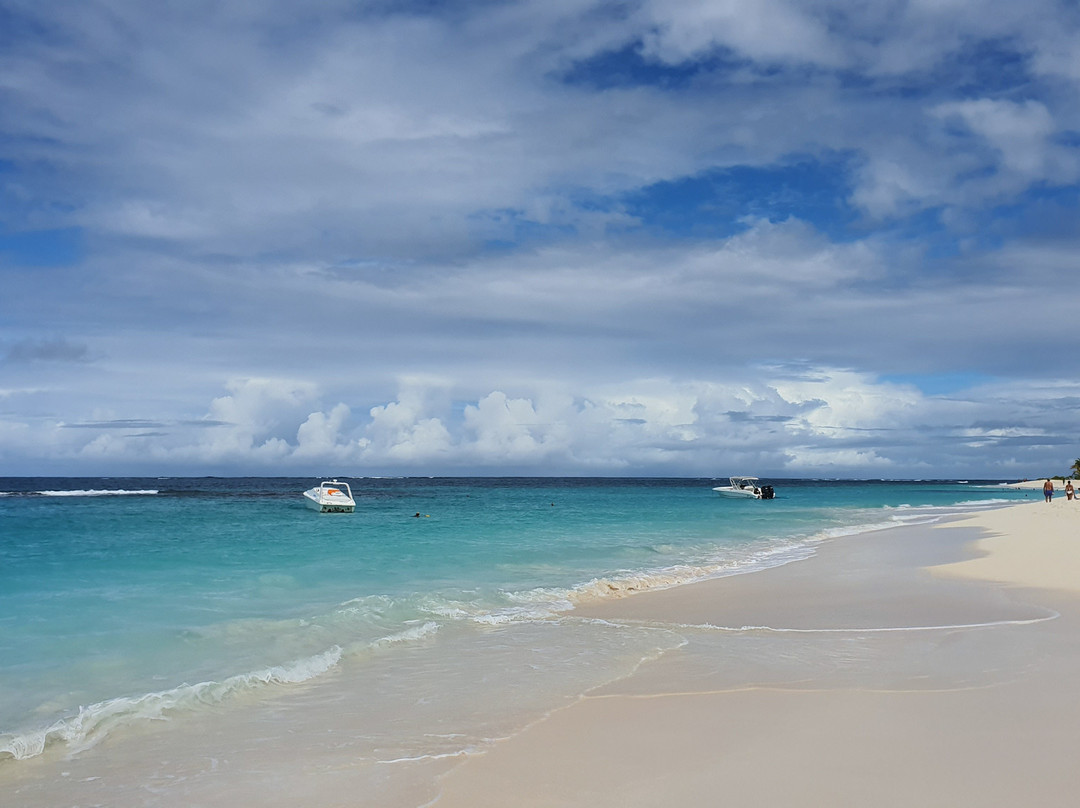 Sonic Xperience-辛普森湾必去景点