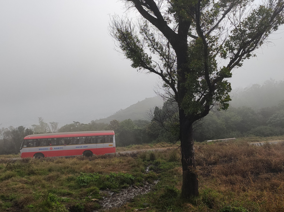 Himavad Gopalaswamy Betta景点图片