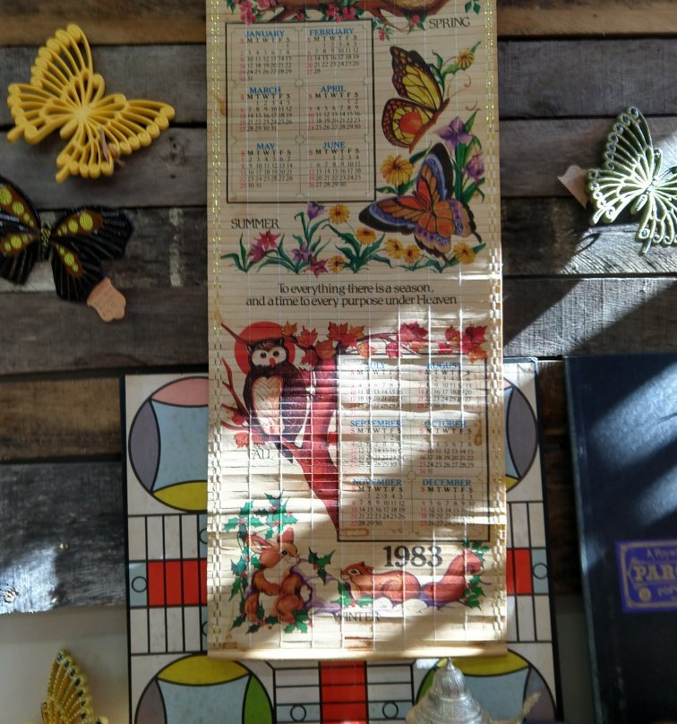 Treasure's Unknown-Sylva必去景点