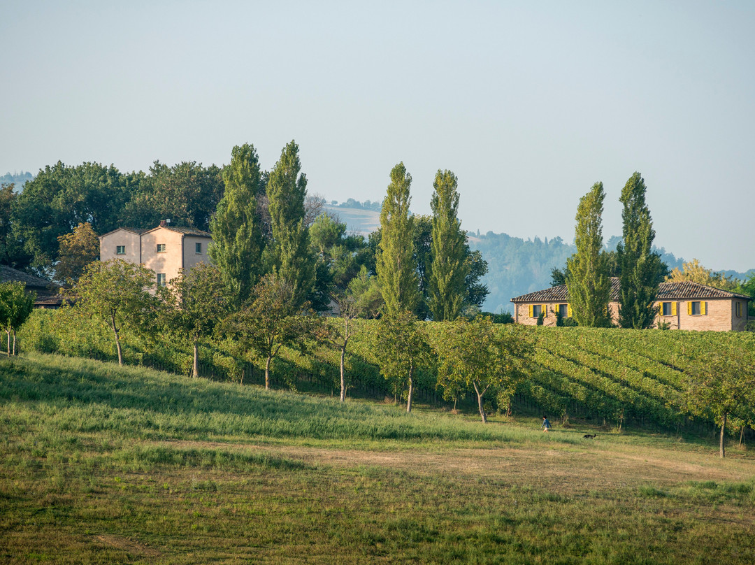 Tenuta Santi Giacomo e Filippo主图