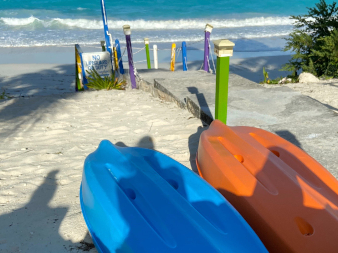 埃克苏马棕榈树酒店主图