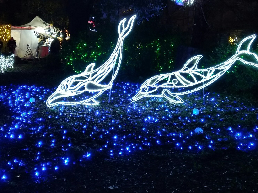 Parco Chigi-阿里恰必去景点