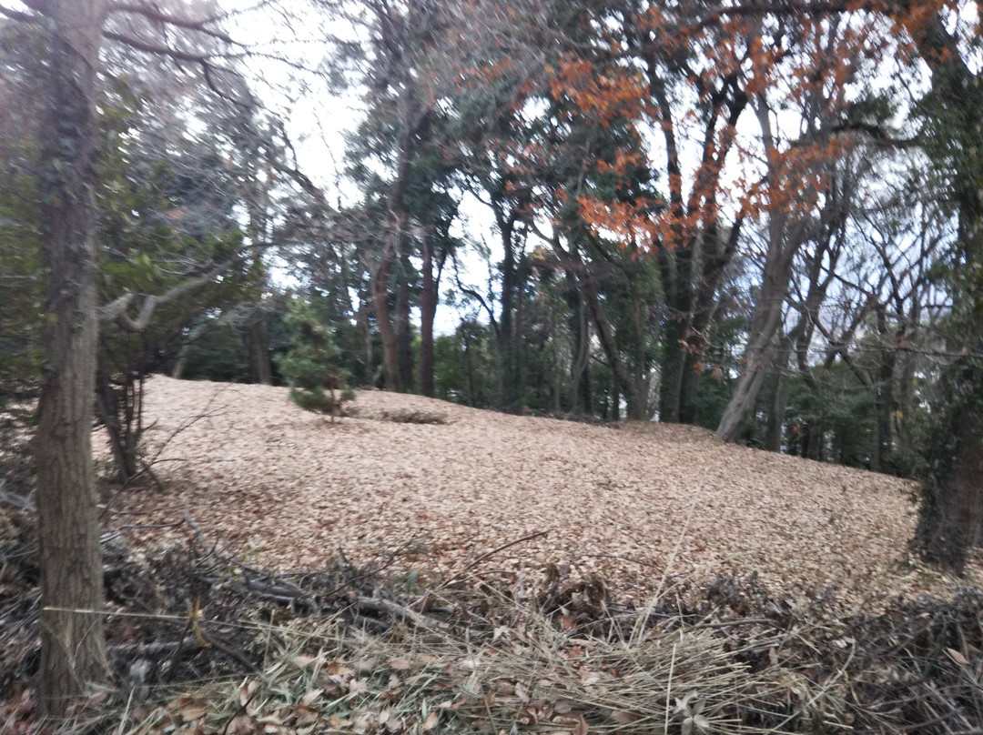 富士山公园-座间市必去景点