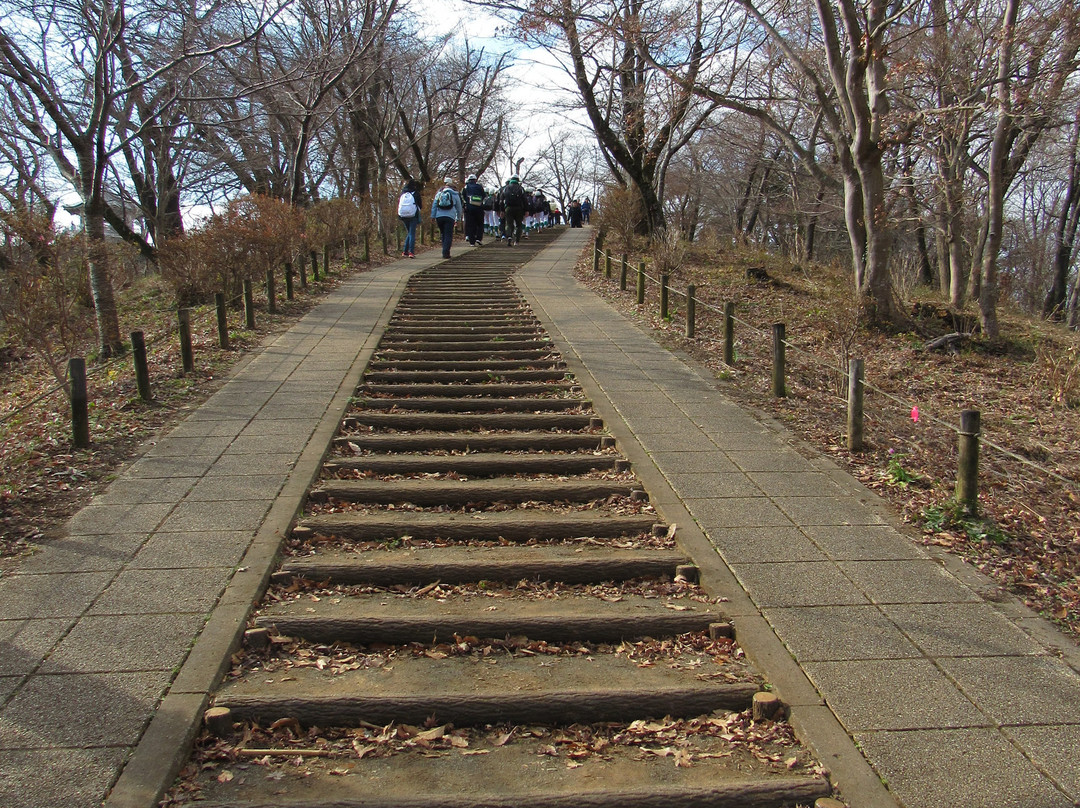 Mt. Gongen-秦野市必去景点