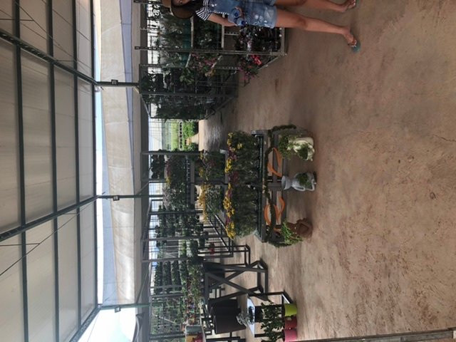 Reijers Produção de Rosas-Sao Benedito必去景点