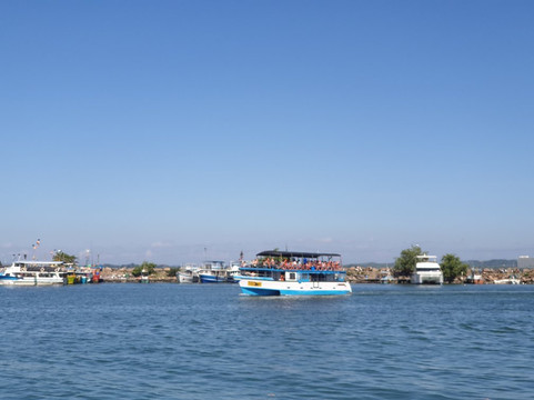 Whale Watching With Nishantha-美蕊沙必去景点