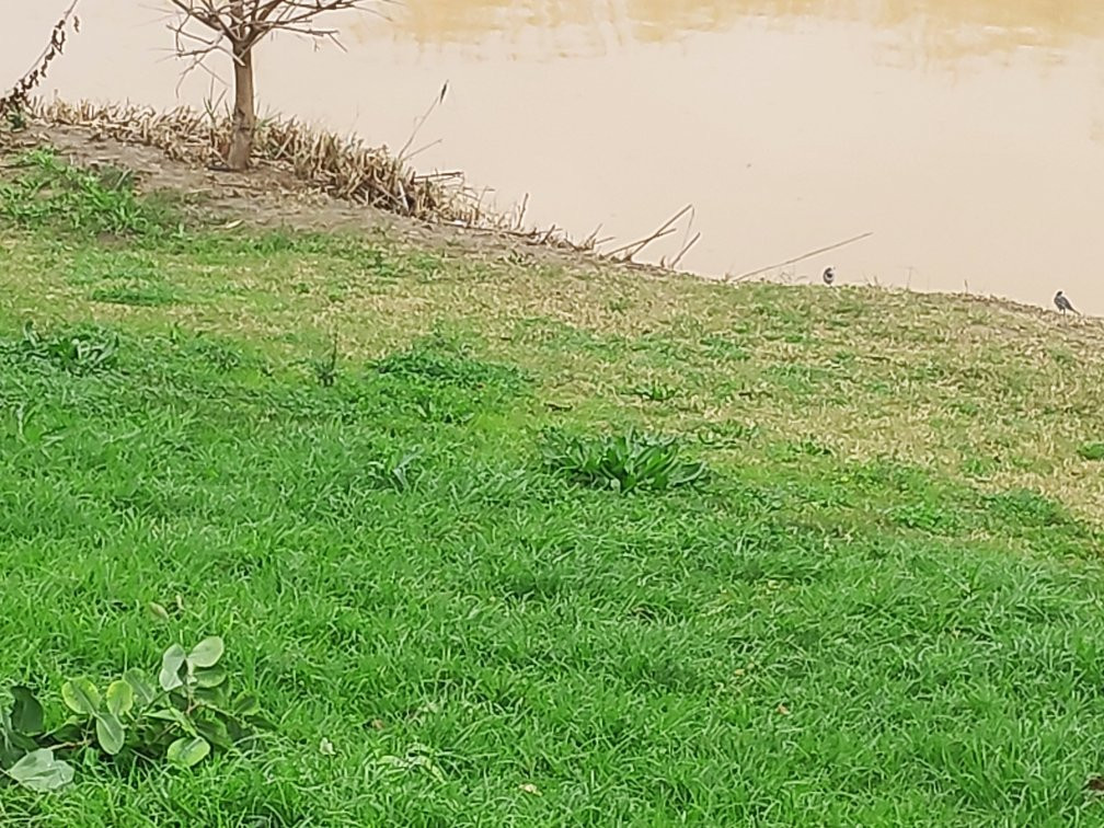 Givat Yonah-阿什杜德必去景点