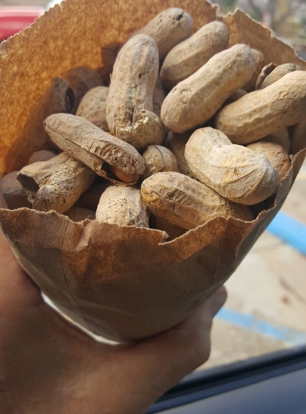 Moms Country Orchards-Oak Glen必去景点