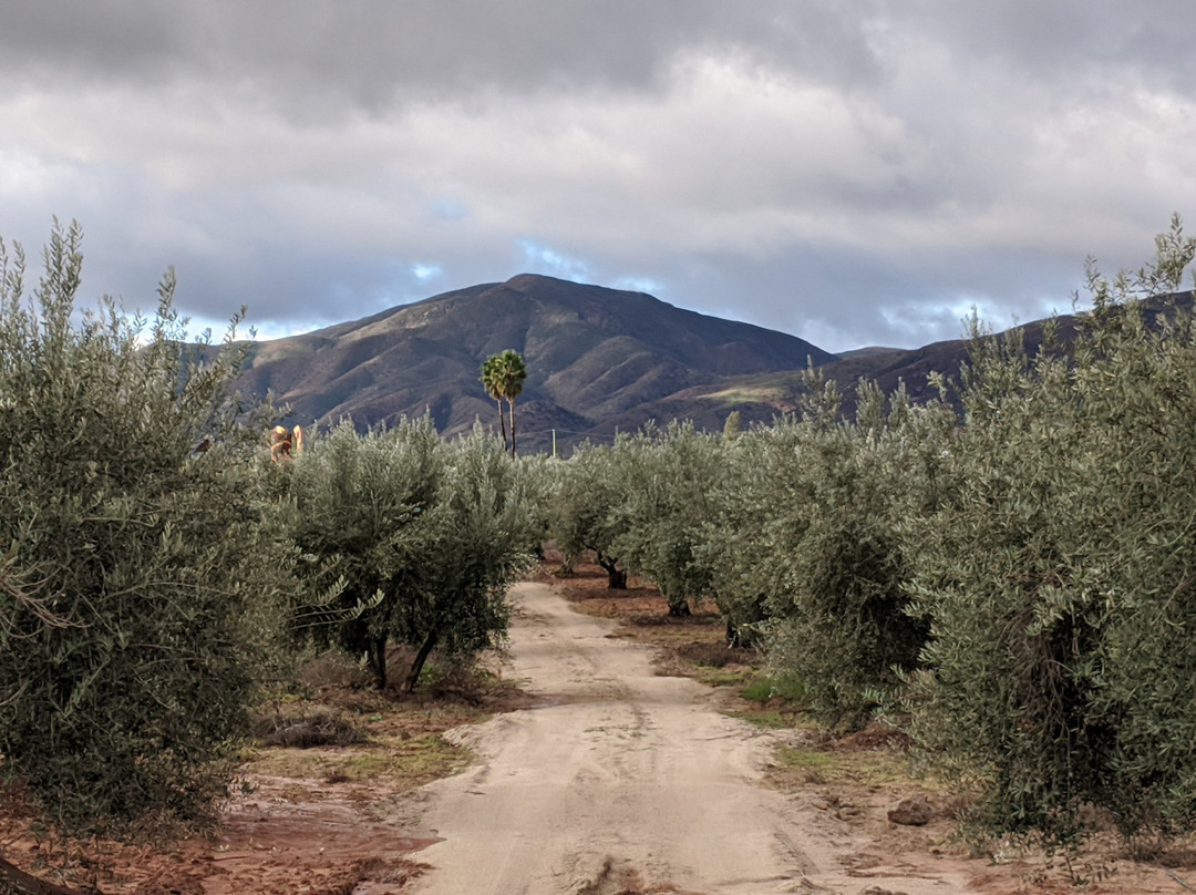 Villas En Los Retonos主图