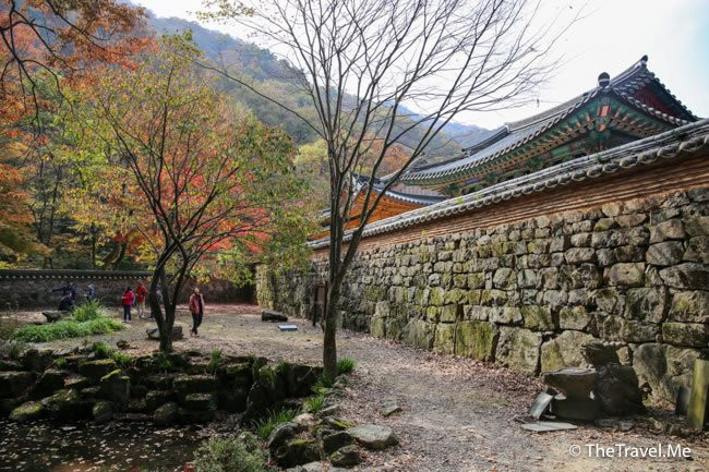 Naejangsa Temple-井邑市必去景点