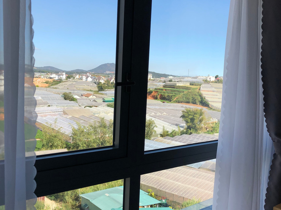 Canary Dalat Hotel主图