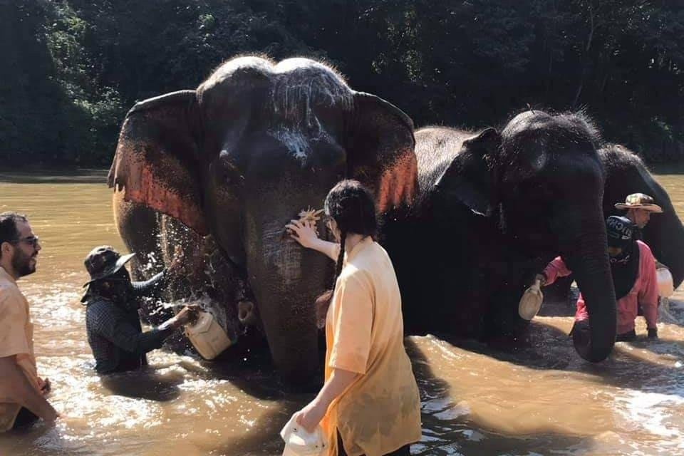 Asia Connect Travel景点图片