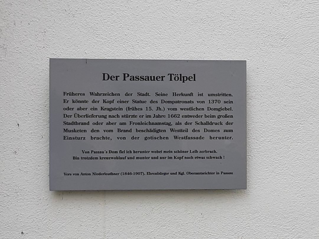 Der Passauer Tölpel-帕绍必去景点