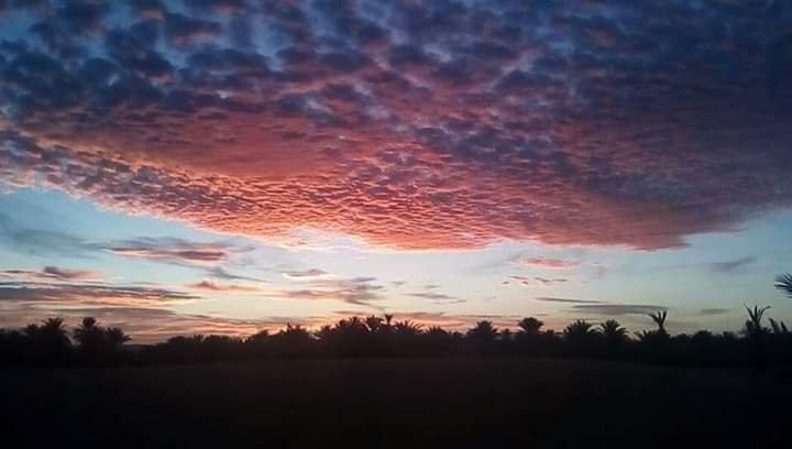 Wilderness Lodge Tours主图