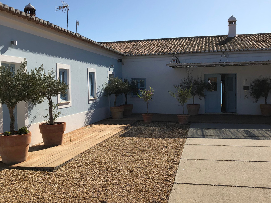 Herdade Da Malhadinha Nova主图