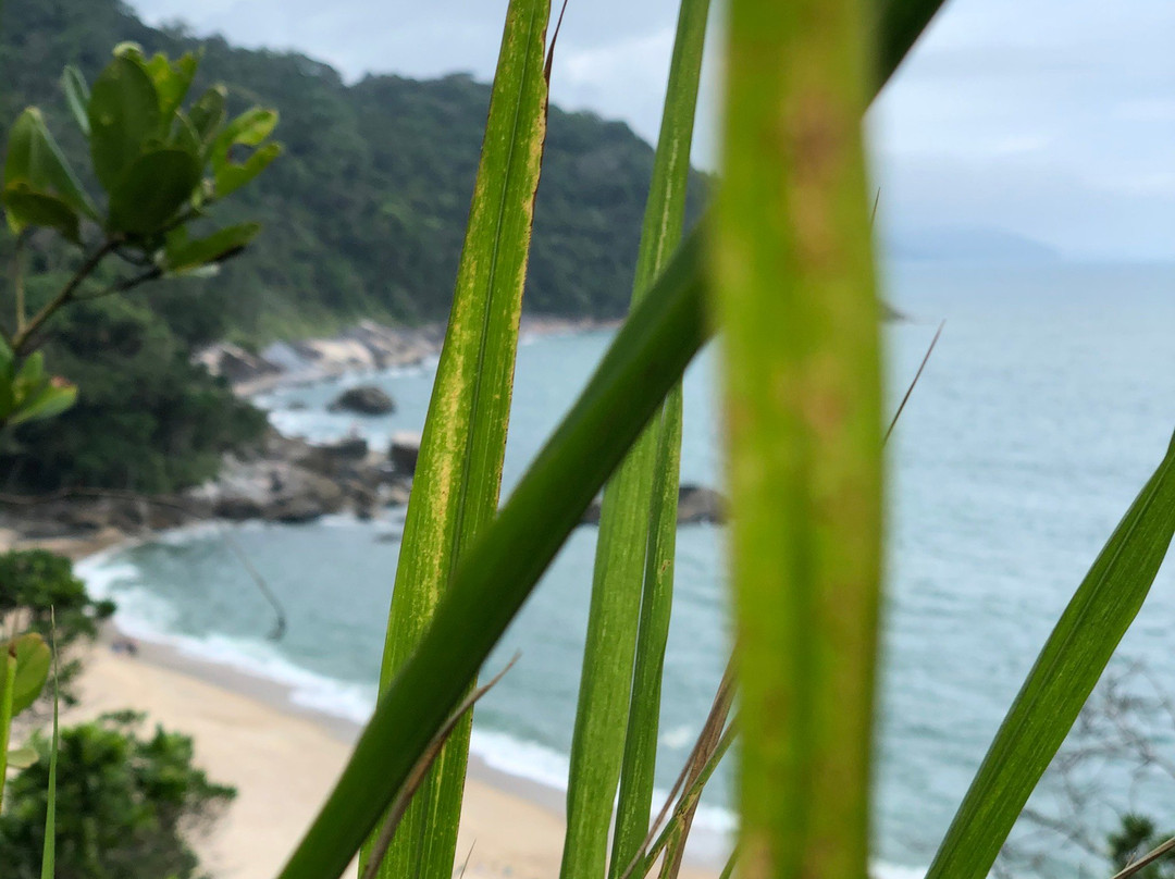 Brava Beach-Caraguatatuba必去景点