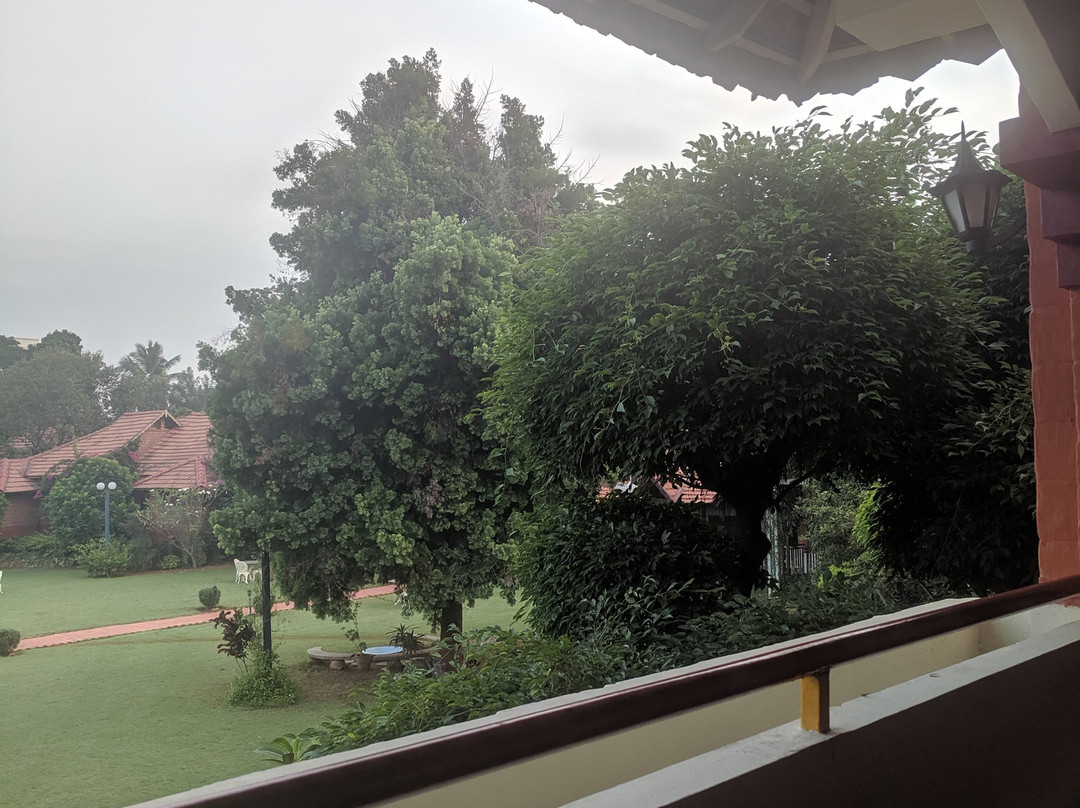 The Village Resort主图