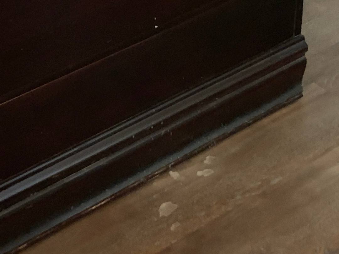 Rome Inn and Suites主图