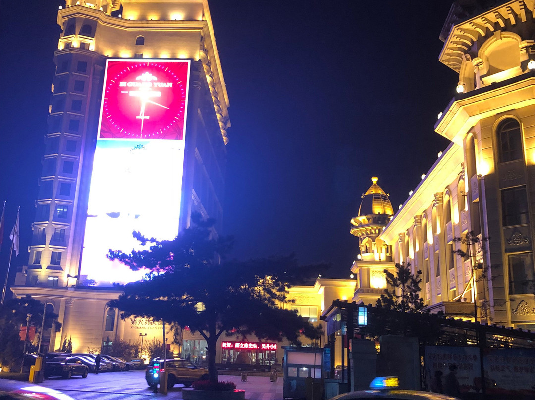 紫光苑大饭店主图