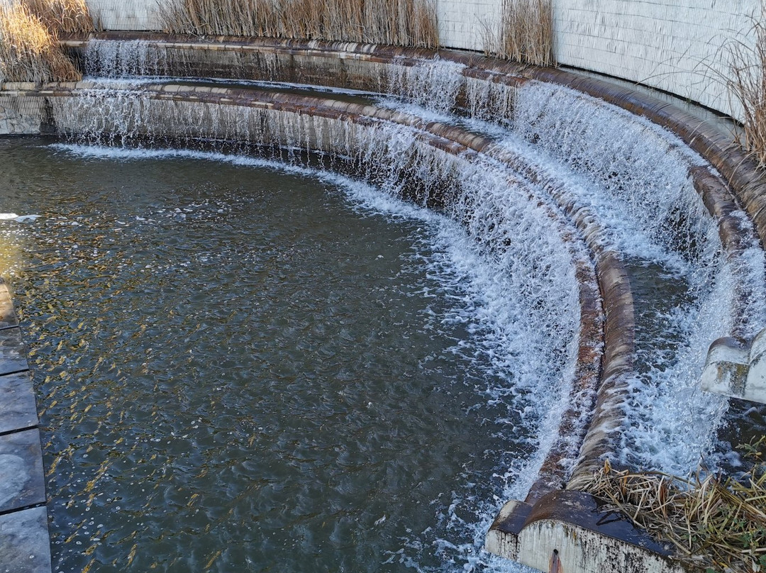 Parque de la Laguna del Carrizal-Collado Villalba必去景点
